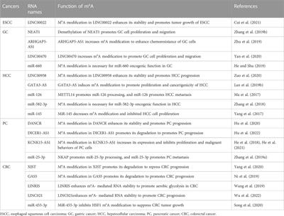 New insights on the interplays between m6A modifications and microRNA or lncRNA in gastrointestinal cancers